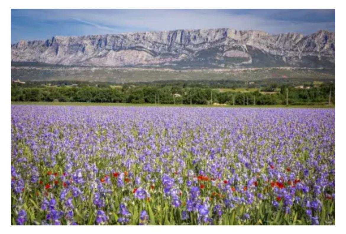 Aix-En-Provence, Cosy Studio Proche Toutes Commodites, Linges Fournis Екстериор снимка